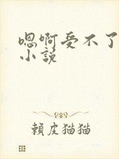 嗯啊受不了高h小说