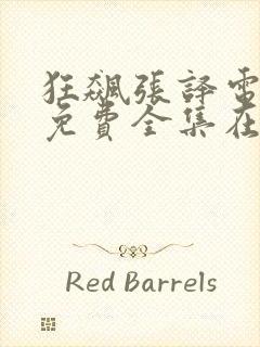 狂飙张译电视剧免费全集在线观看