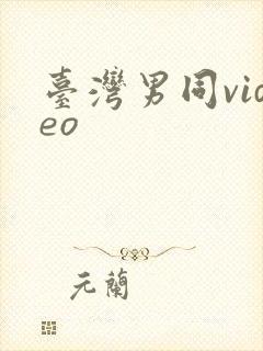 台湾男同video