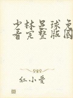 少林足球免费观看完整版国语日韩