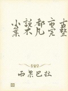 小说都市古仙医叶不凡完整版