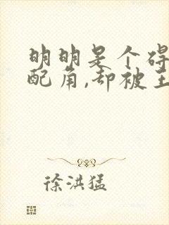 明明是个碍事的配角,却被王子给宠爱了动漫