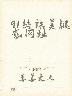 91丝袜美腿性感网址封面
