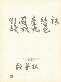 91国产丝袜在线放九色