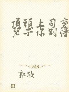 顶头上司变后妈儿子你别懵大结局