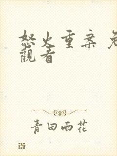 怒火重案 免费观看