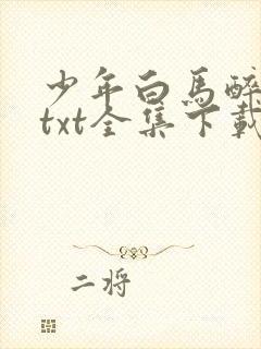 少年白马醉春风txt全集下载