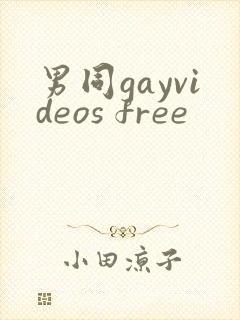 男同gayvideos free