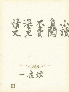 情深不负小说全文免费阅读