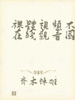 裸体视频不遮挡在线观看国产