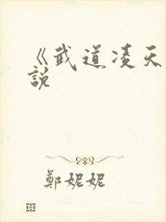 《武道凌天》小说