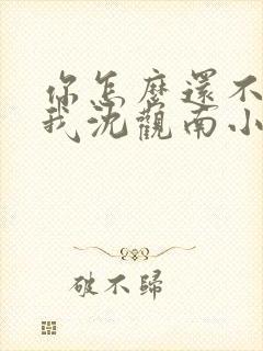 你怎么还不来哄我沈观南小说免费阅读