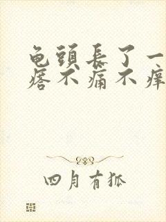 龟头长了一圈疙瘩不痛不痒