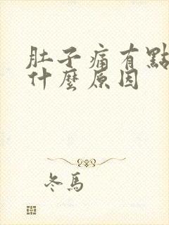 肚子痛有点想吐什么原因