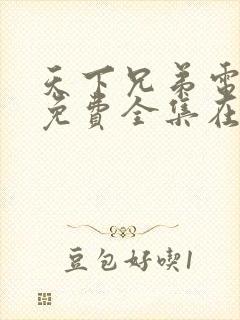 天下兄弟电视剧免费全集在线观看高清封面