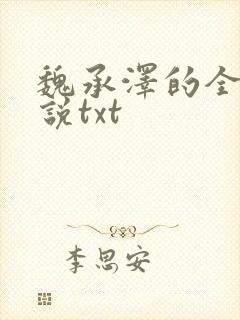 魏承泽的全部小说txt