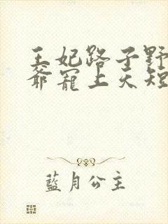 王妃路子野,王爷宠上天短剧封面