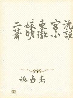 二嫁东宫沈雨燃萧明彻小说免费阅读全文