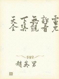 天下无诈电视剧全集观看免费封面