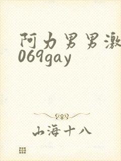 阿力男男激情1069gay
