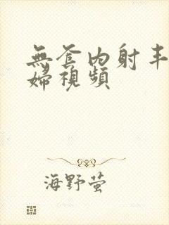 无套内射丰满少妇视频