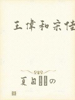 王伟和宋佳照片