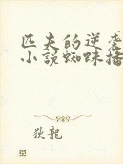 匹夫的逆袭有声小说蜘蛛播音封面