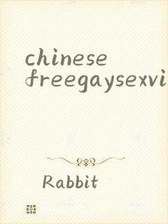 chinesefreegaysexvideo