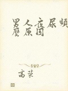 男人夜尿频是什么原因