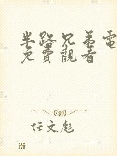 半路兄弟电视剧免费观看