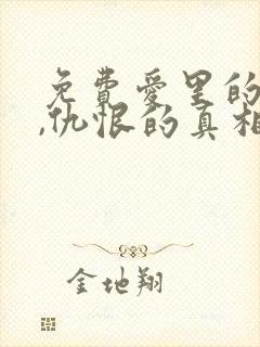 免费爱里的谎言,仇恨的真相