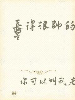 长得很帅的男明星