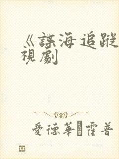 《谍海追踪》电视剧