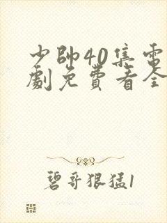 少帅40集电视剧免费看全集