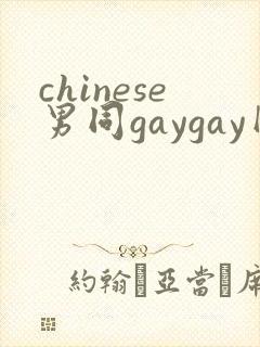 chinese男同gaygay网站