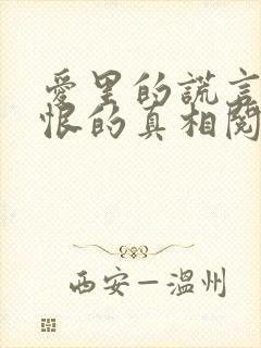 爱里的谎言,仇恨的真相阅读