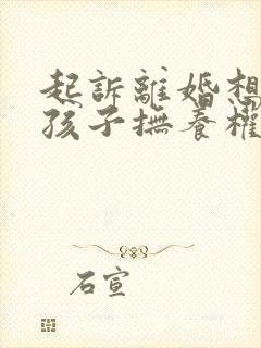 起诉离婚想争取孩子抚养权