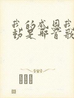 我的感恩我的感动是哪首歌歌词