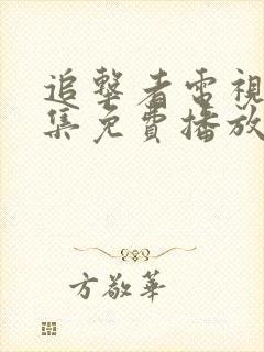 追击者电视剧全集免费播放