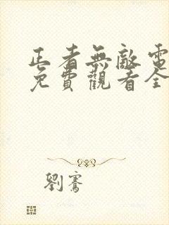 正者无敌电视剧免费观看全集封面