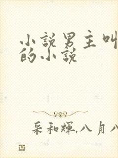 小说男主叫沈倦的小说