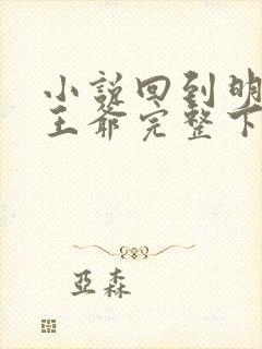 小说回到明朝当王爷完整下载