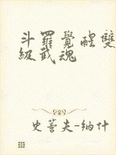 斗罗觉醒双生神级武魂