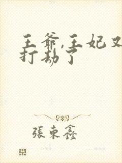 王爷,王妃又去打劫了