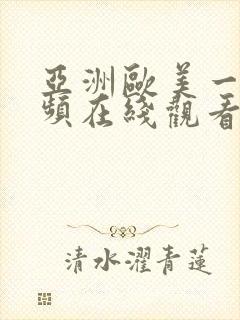 亚洲欧美一区视频在线观看