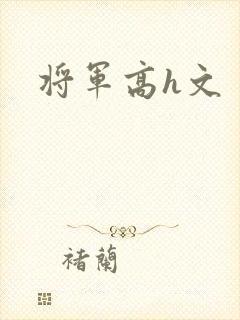 将军高h文