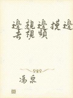 边亲边摸边插进去视频