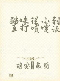 猫咪从小到大一直打喷嚏流鼻涕