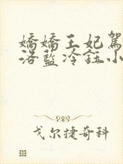 娇娇王妃驾到水洛蓝冷钰小说封面