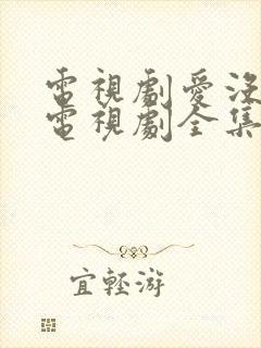 电视剧爱没有错电视剧全集免费观看